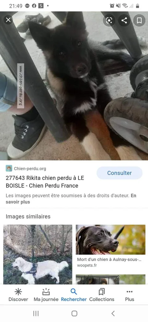 Rikita
