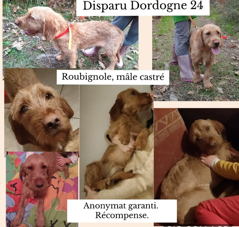 Roubignole