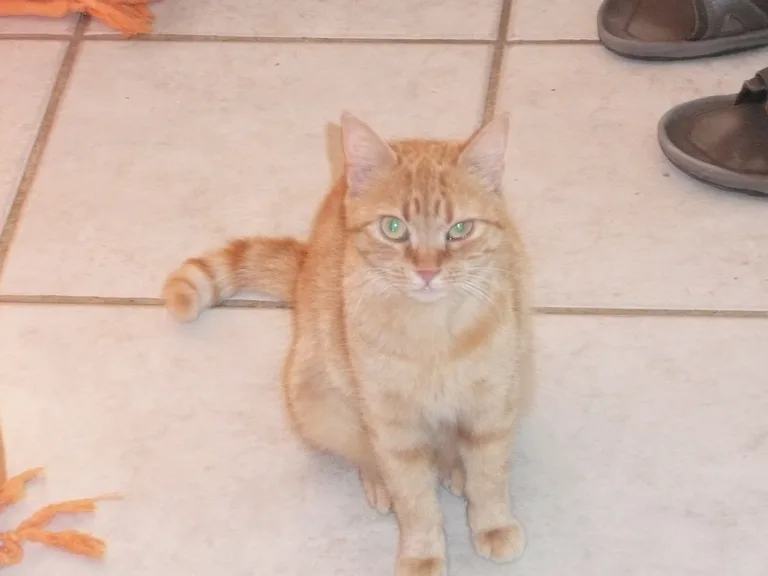 Lili