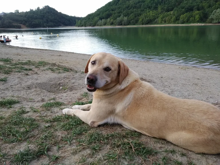 Paco