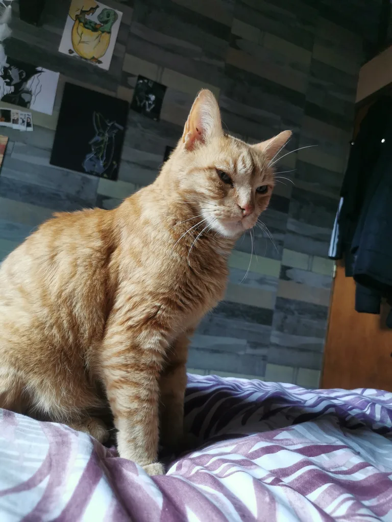 Filou