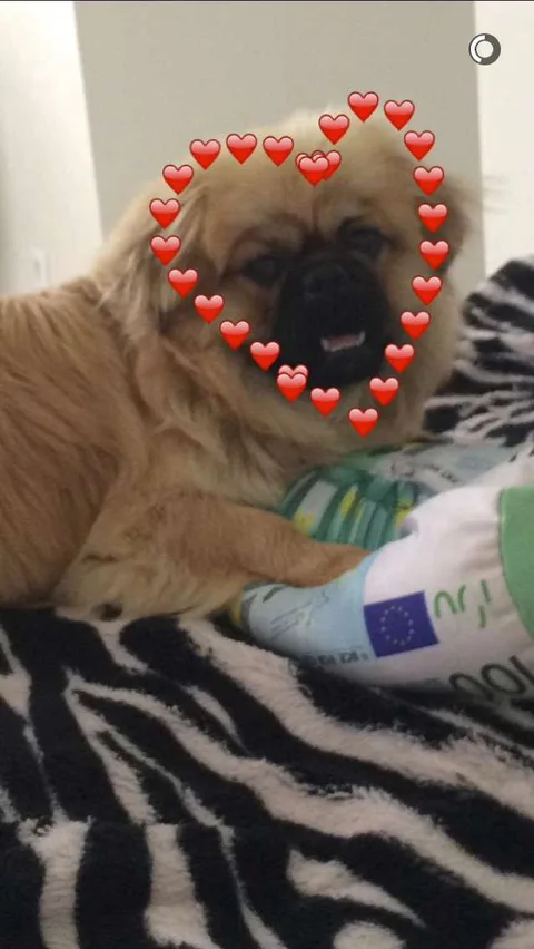 Ronaldo / roro