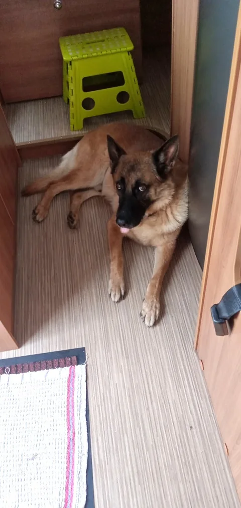 Bandit