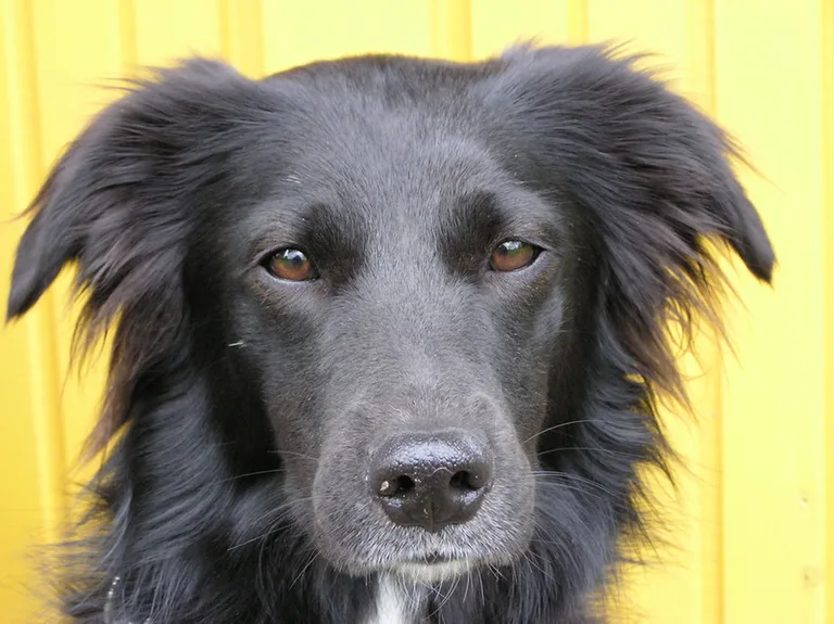 Olga