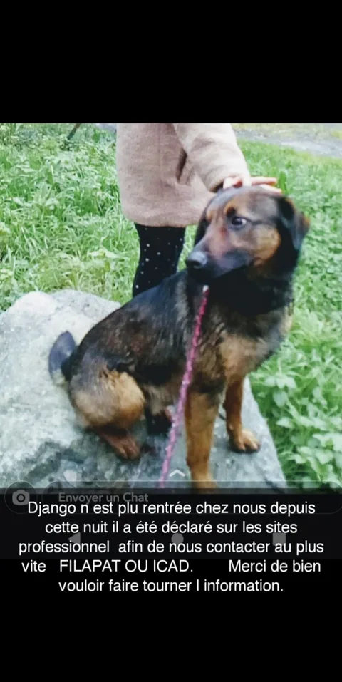 Django