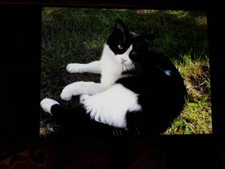 PIXEL