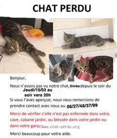 Chat perdu Bengal