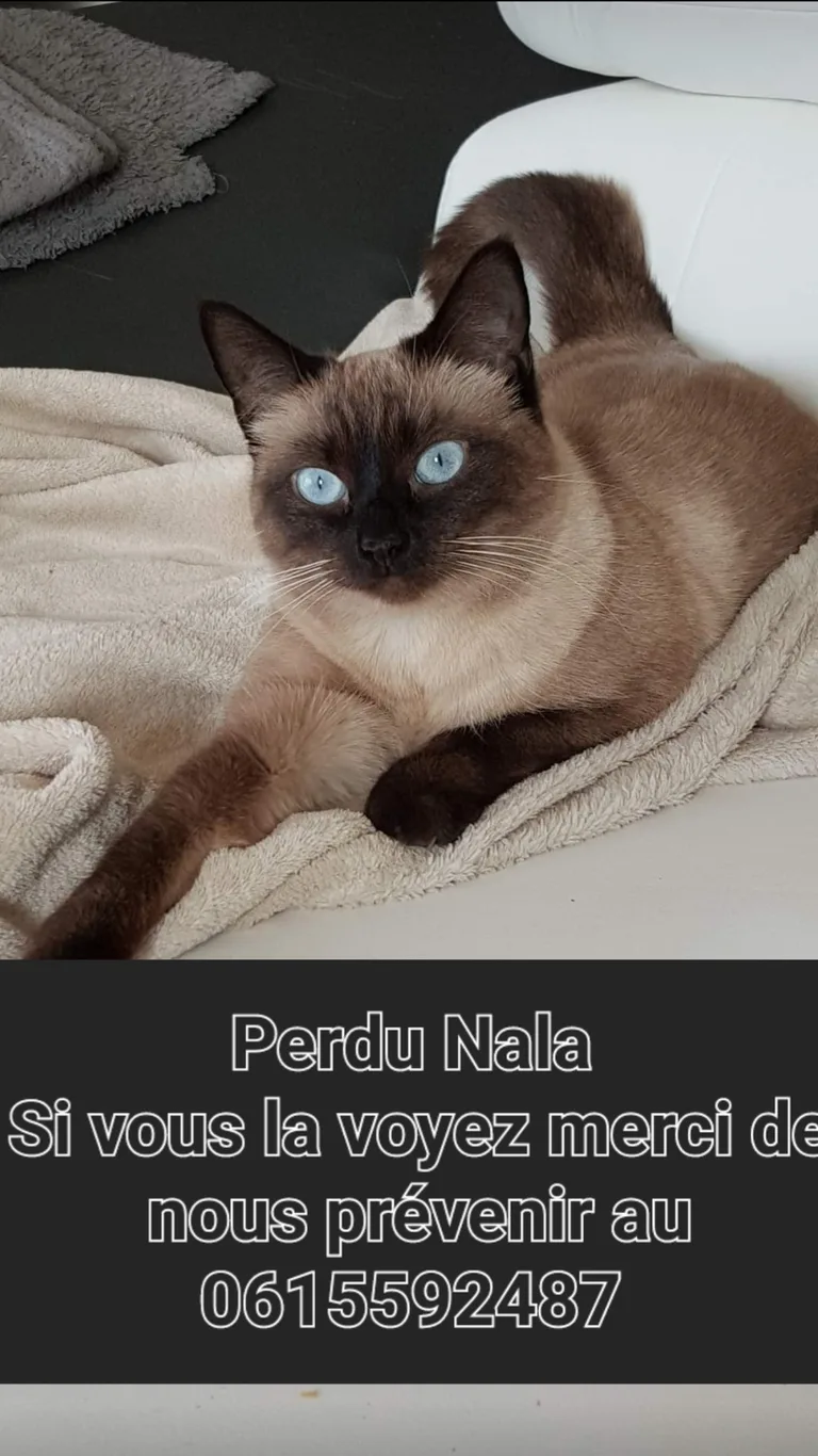 Nala
