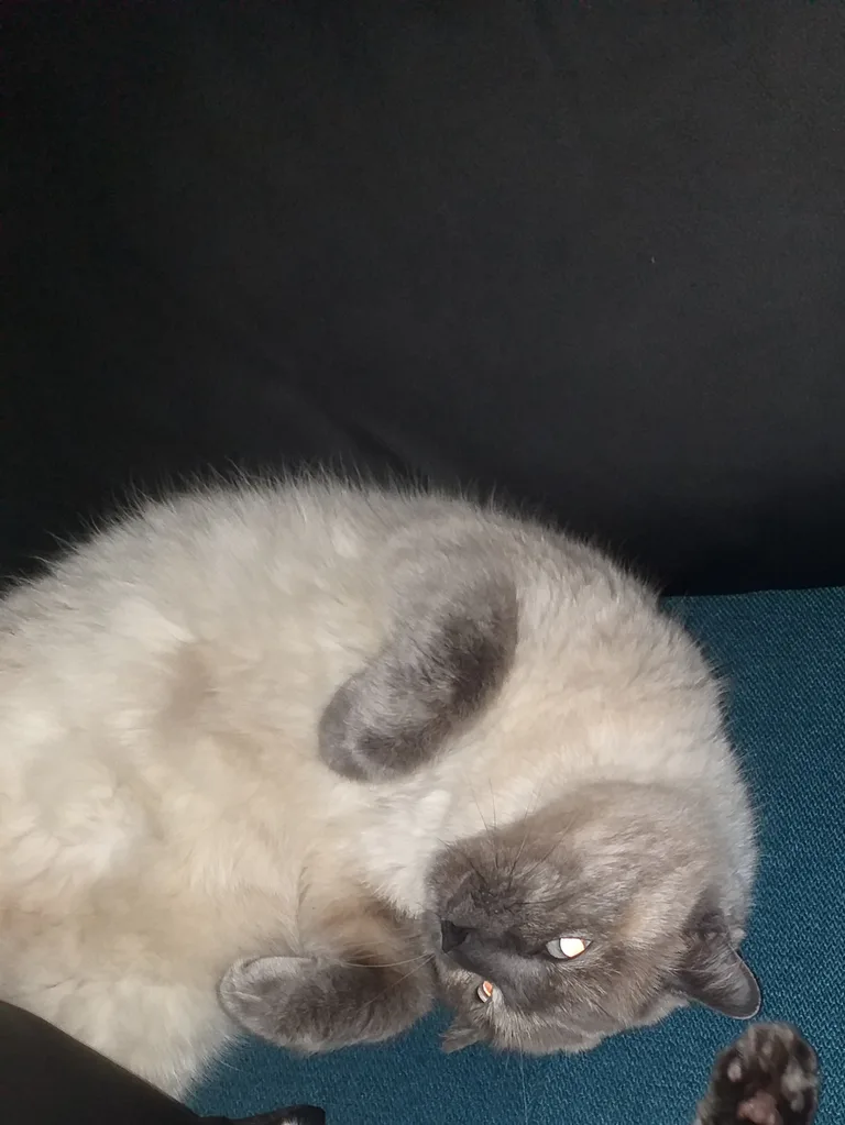 Nina
