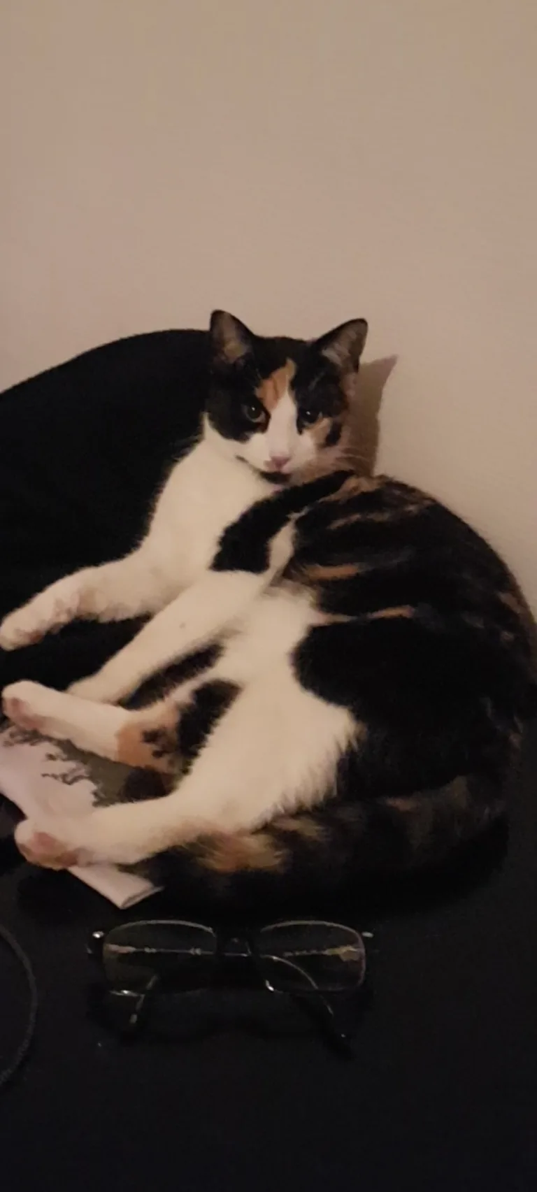Nala