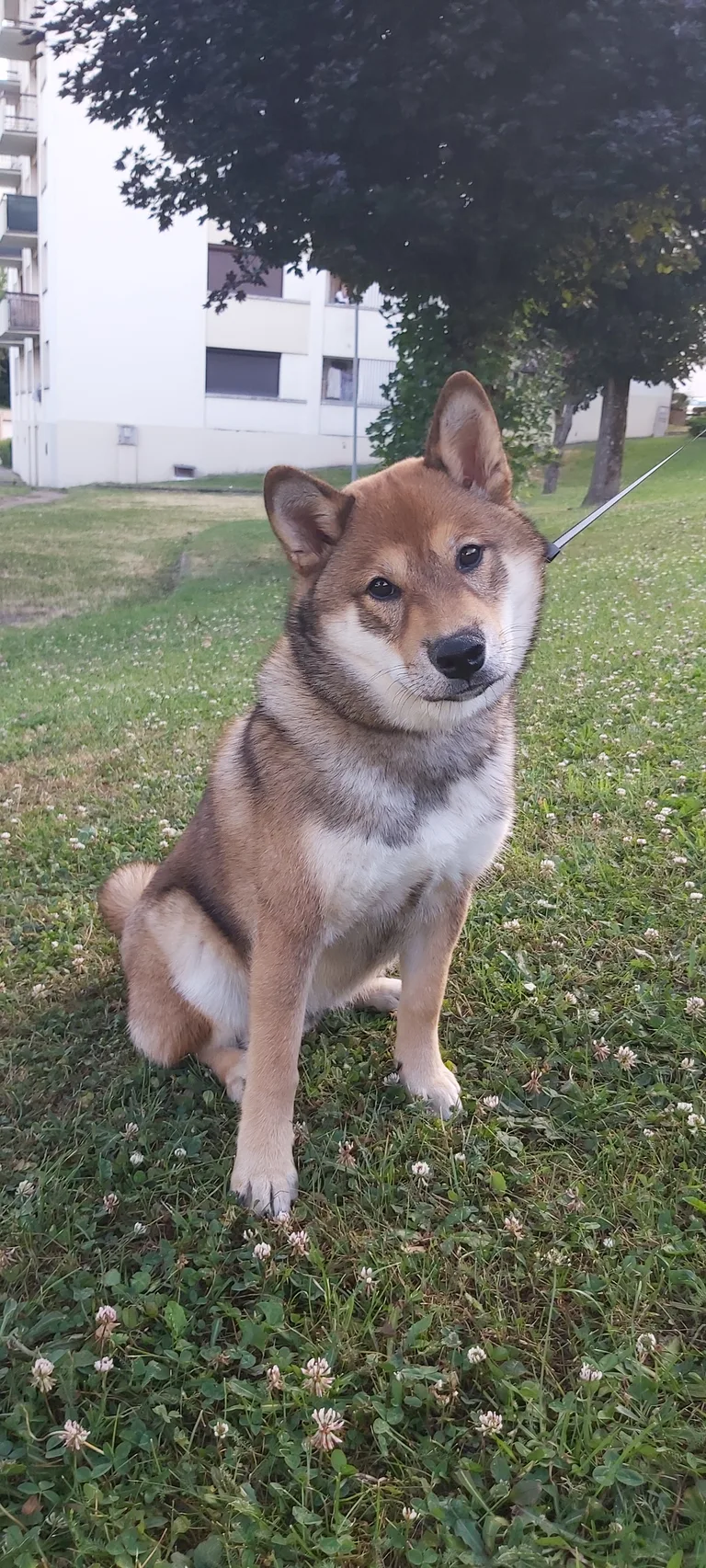 Takeo