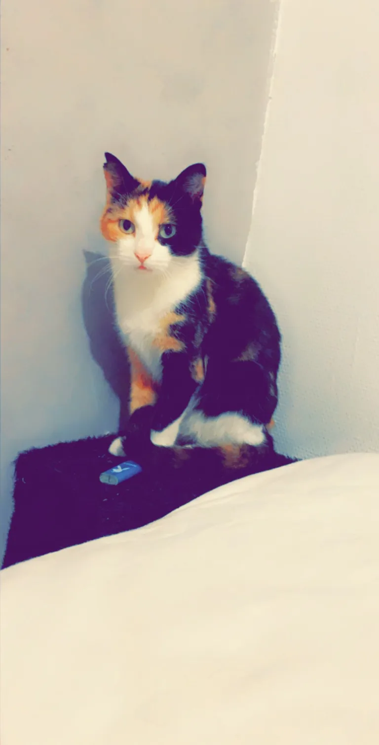 Louna