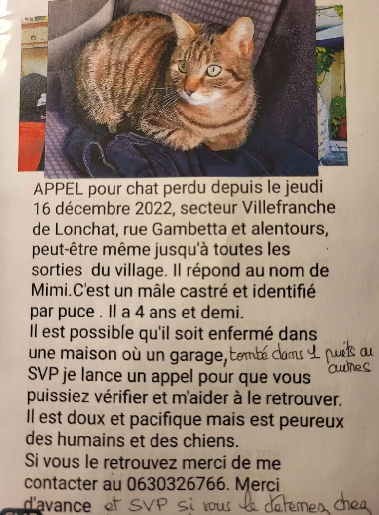 Mimi