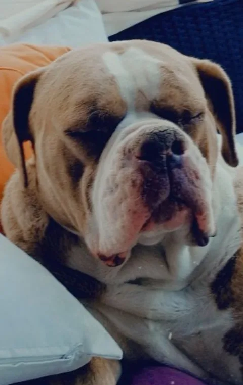 Ares