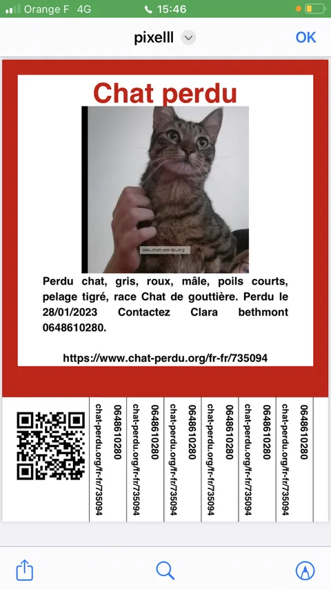Pixel