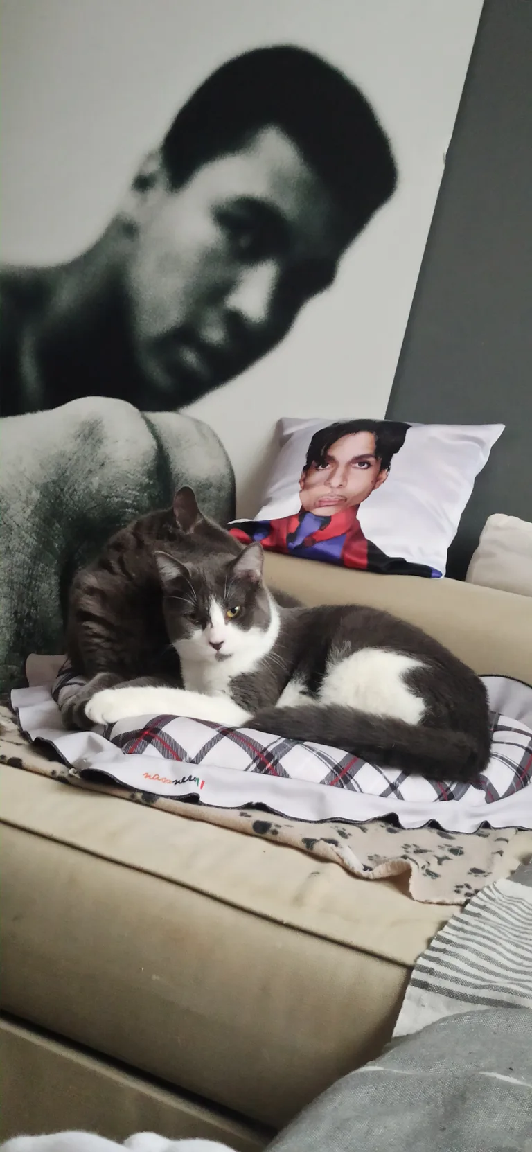 Jules