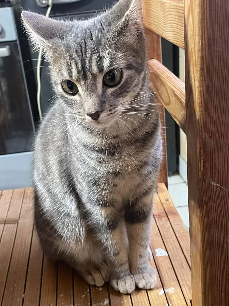 Minnie