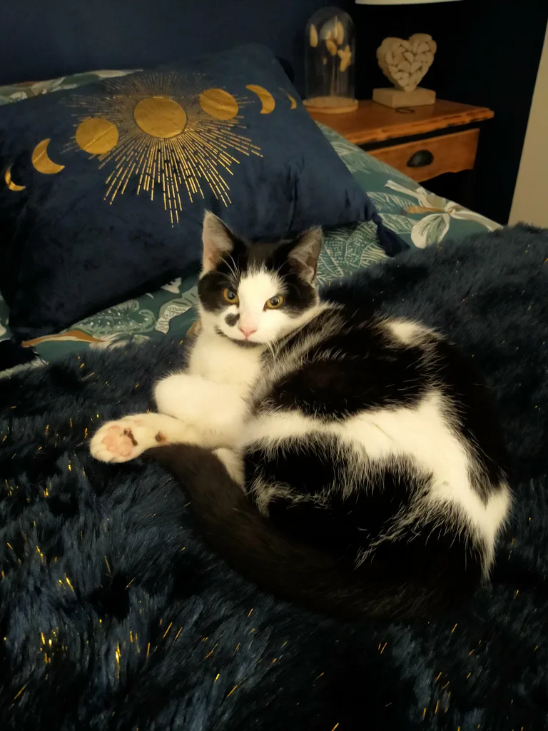 Paco