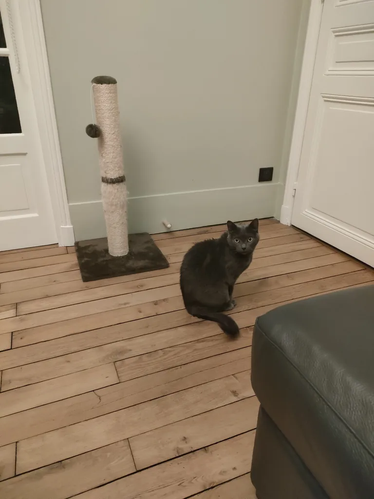 Boulette