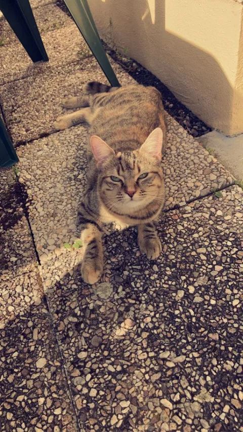 Minnie