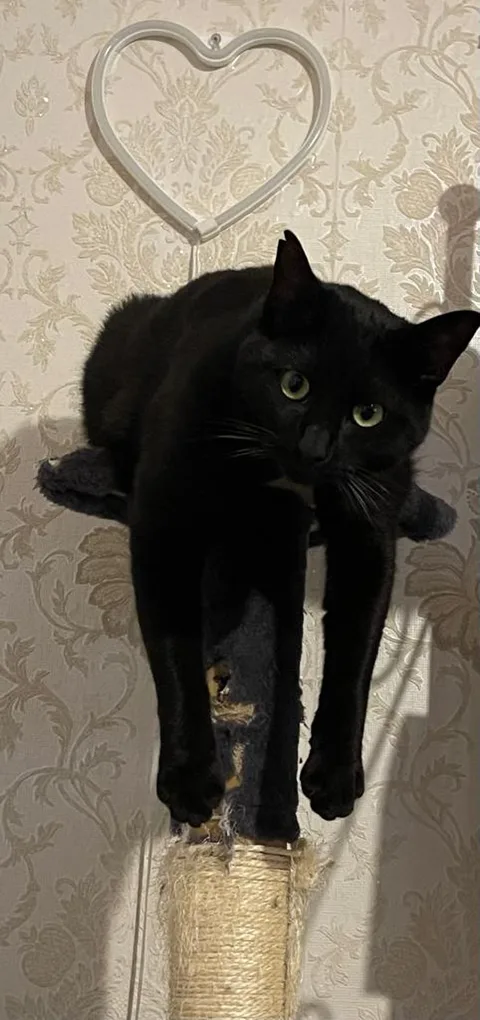 Ben