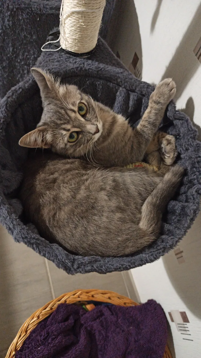 NALA
