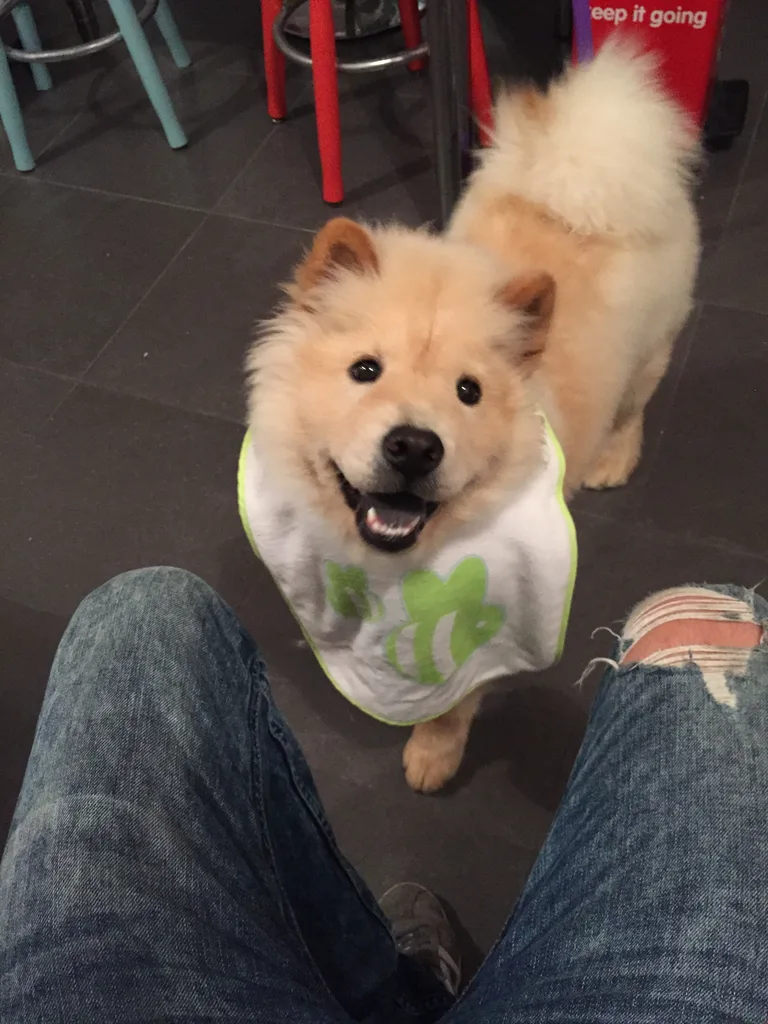 Kira