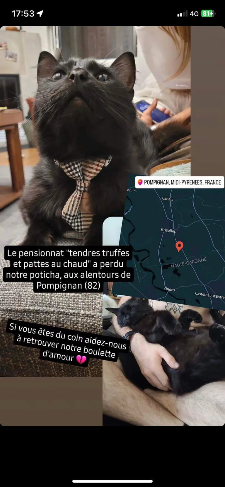 Onyx