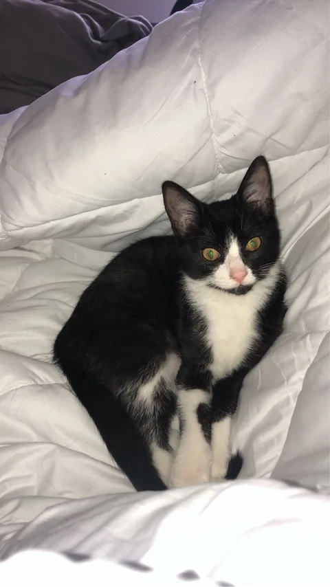 Tobby