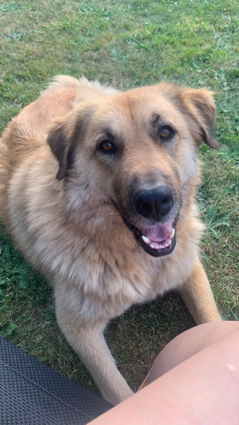 Kira