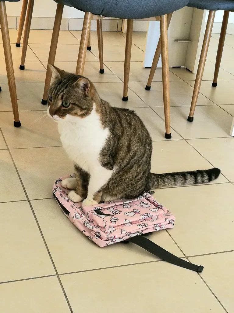 Pixel