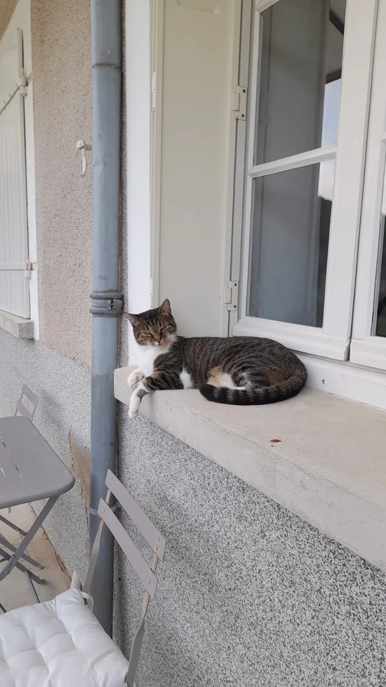 Tasha