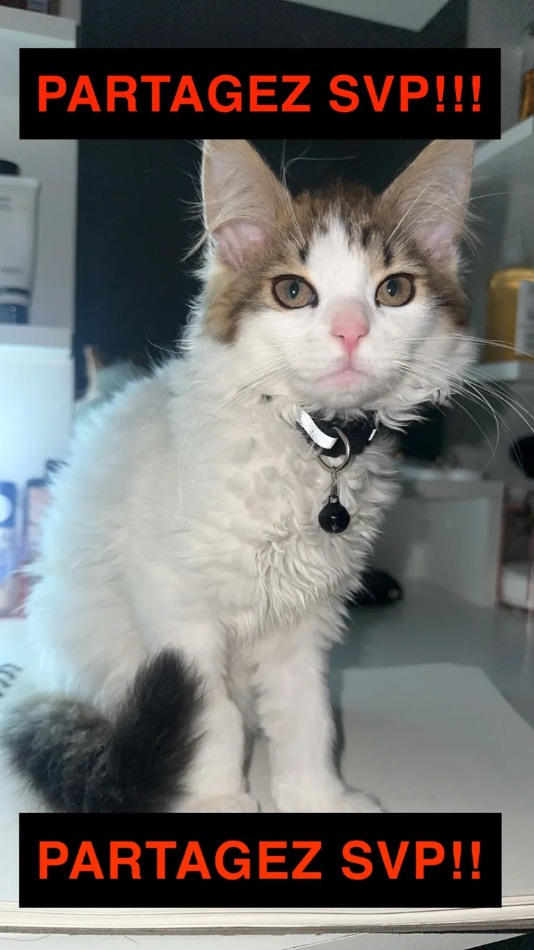 Yumoş