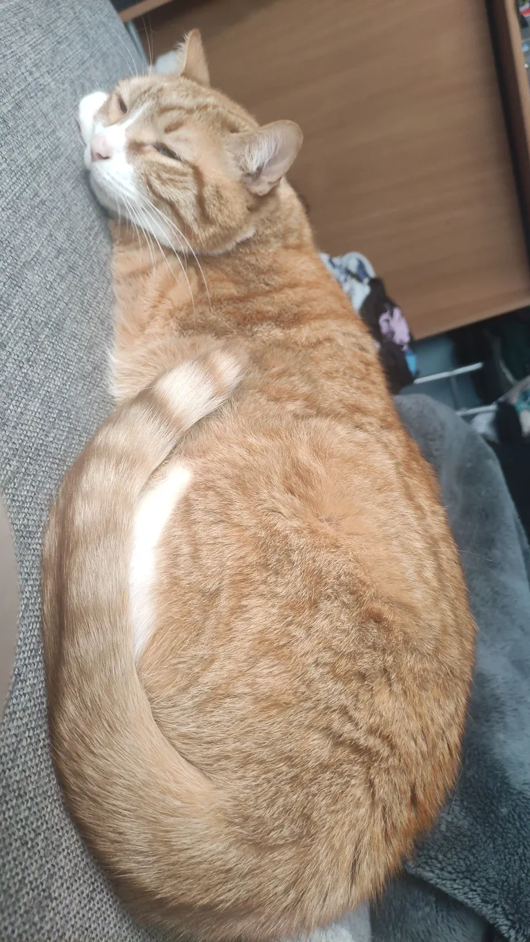 Oliver