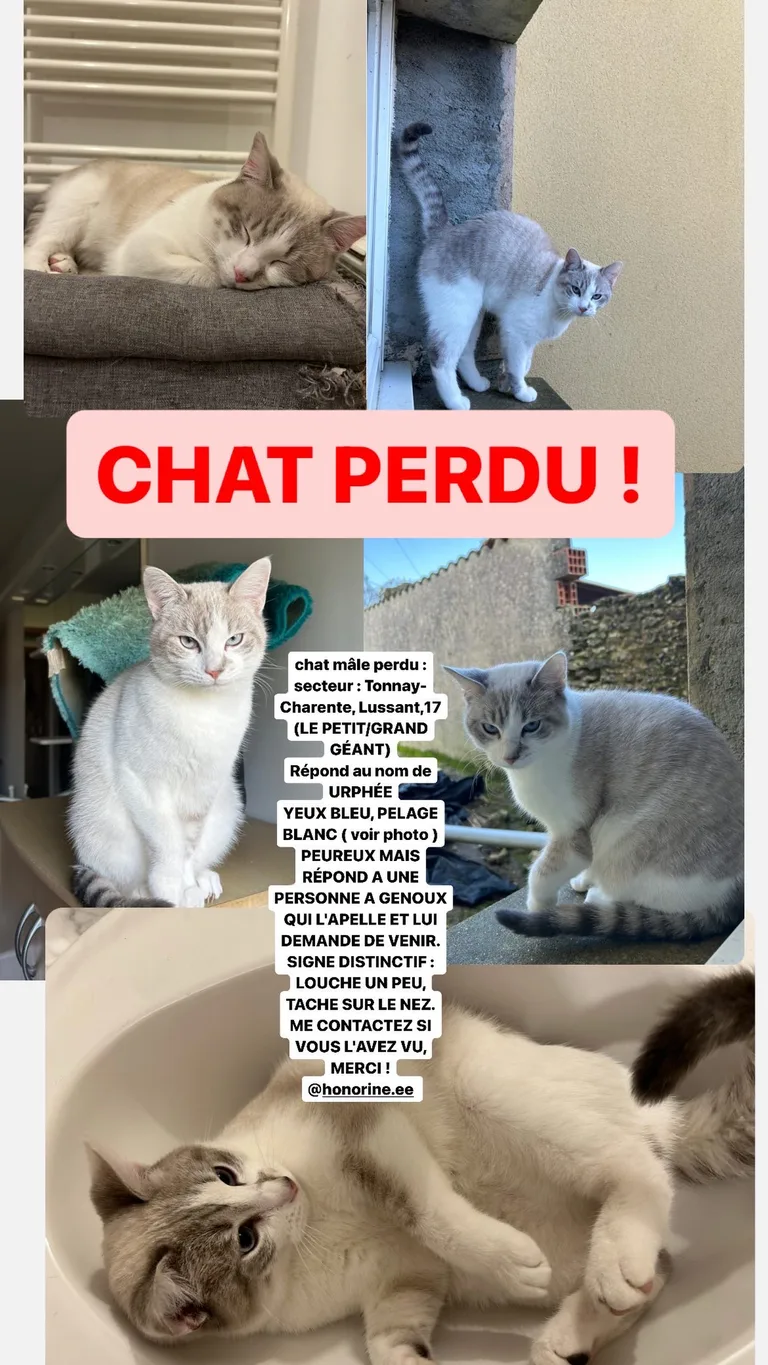 Urphée