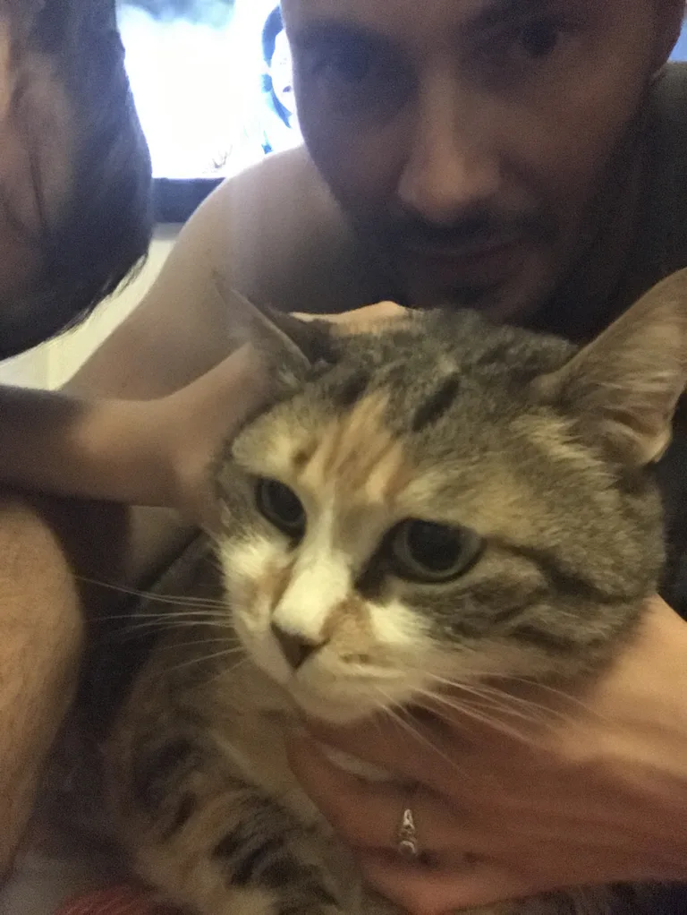 Ninou