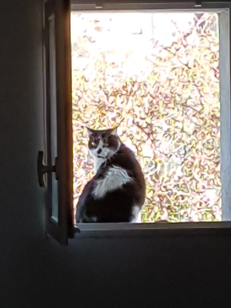Sirius