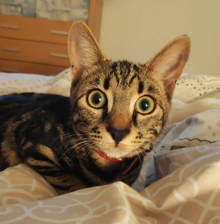 Ruby