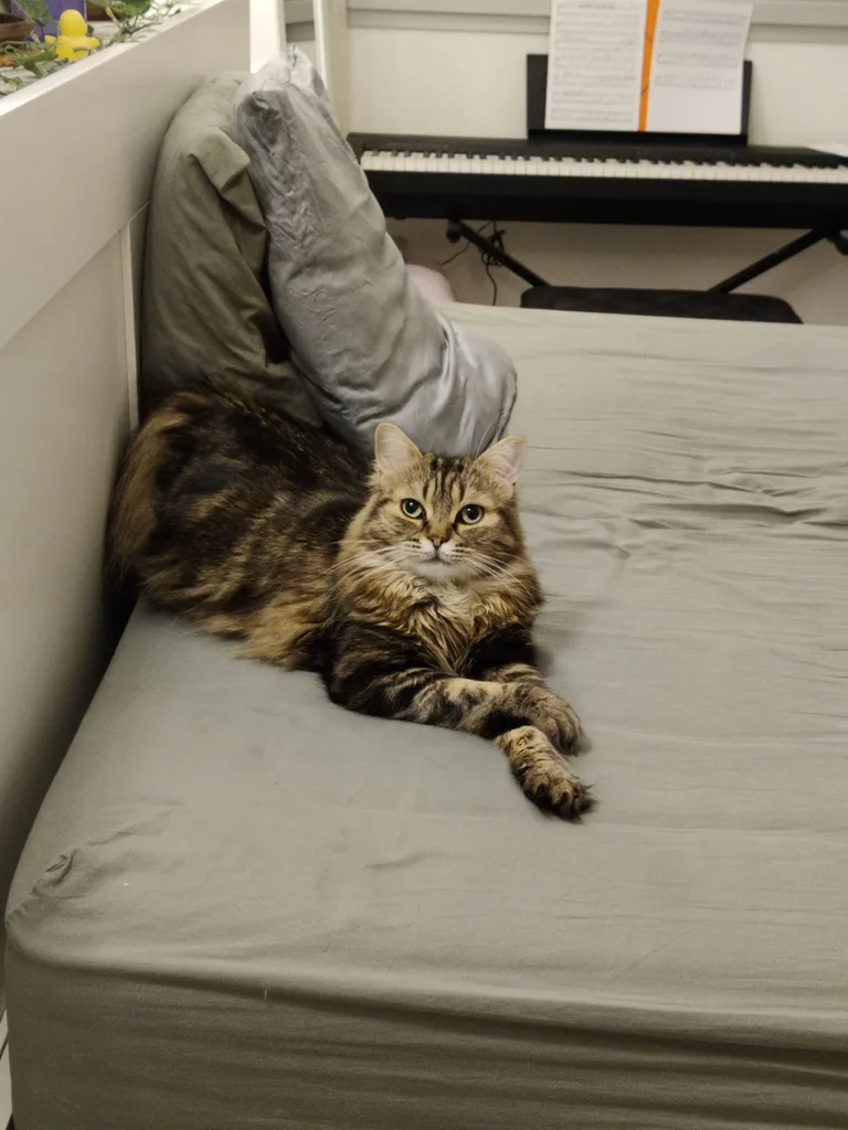 Merlin