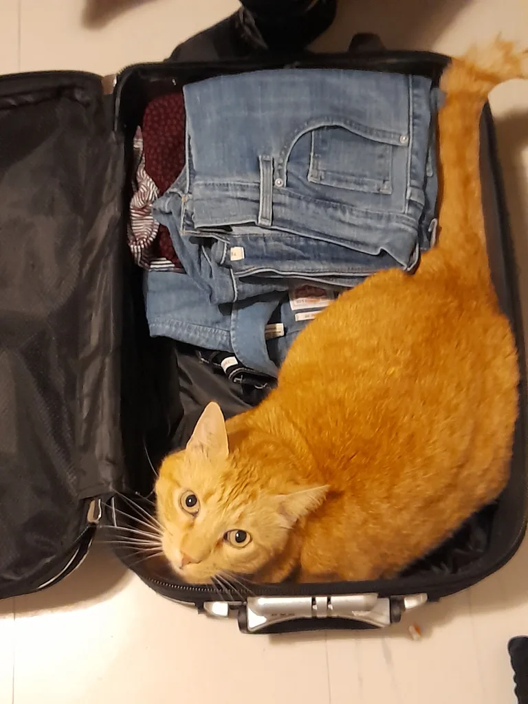 Garfield
