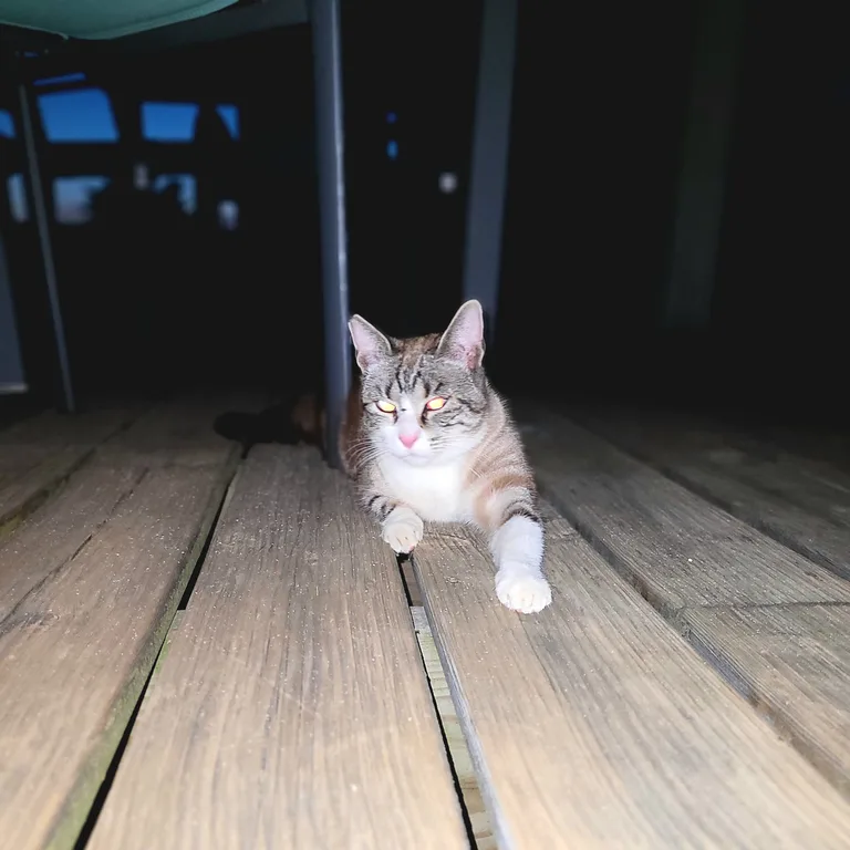 Smoby