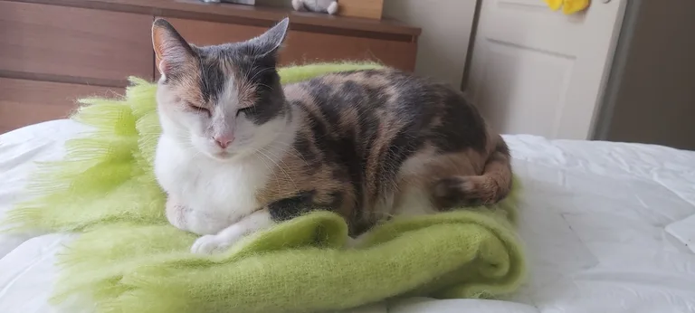 Poupounette