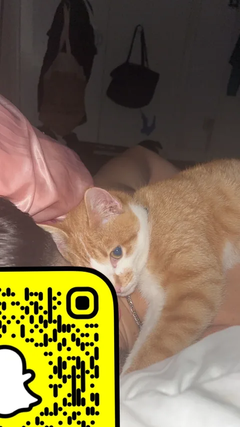 Tigrou