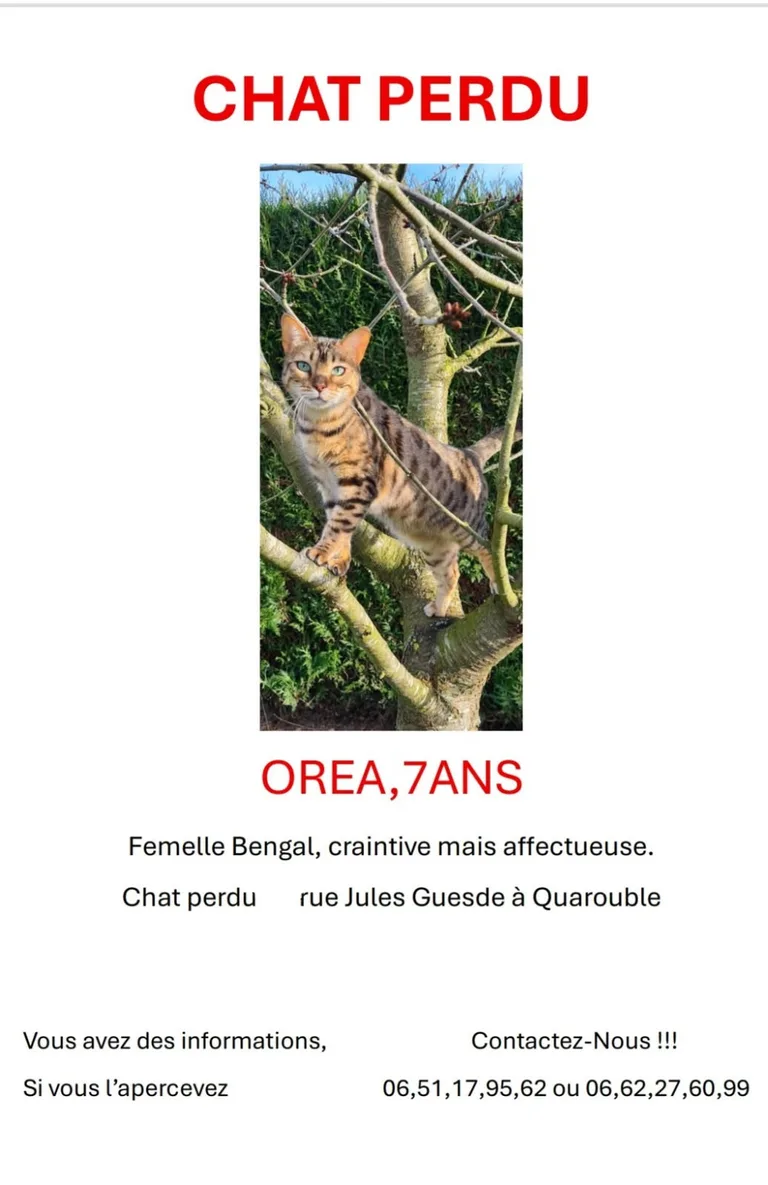 Orea