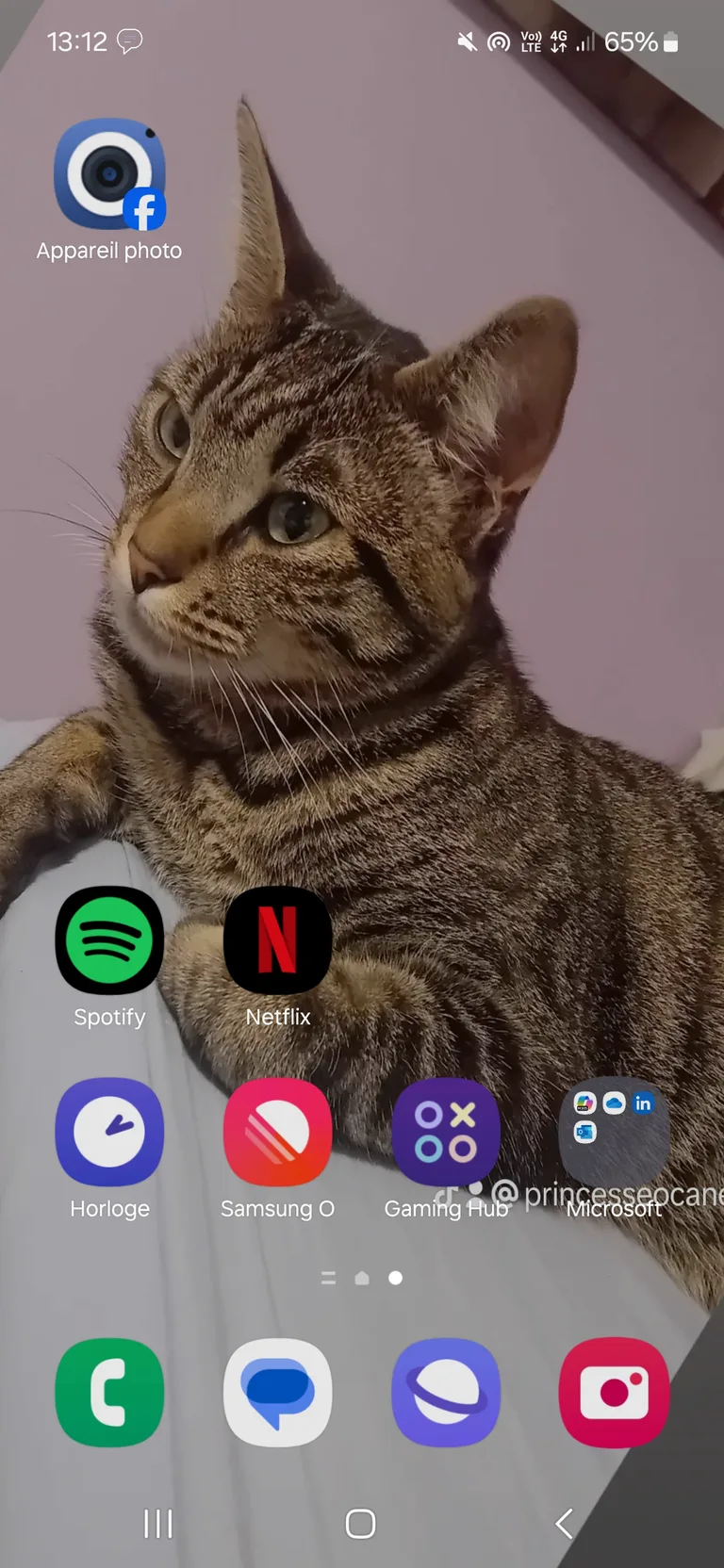 Tigrou