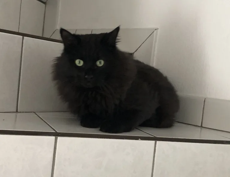 Tyson