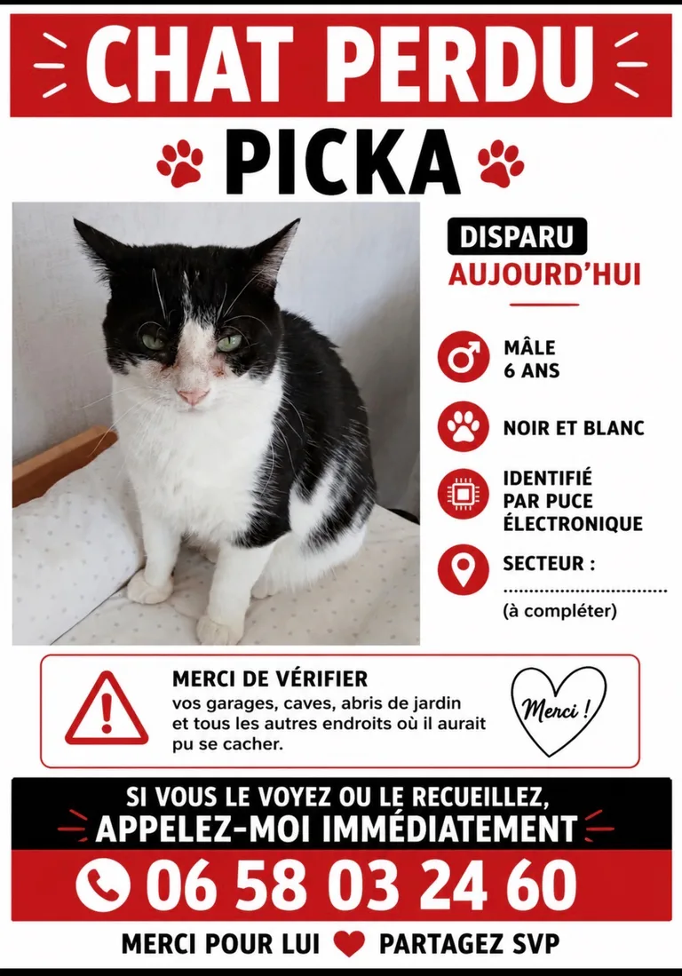 Picca