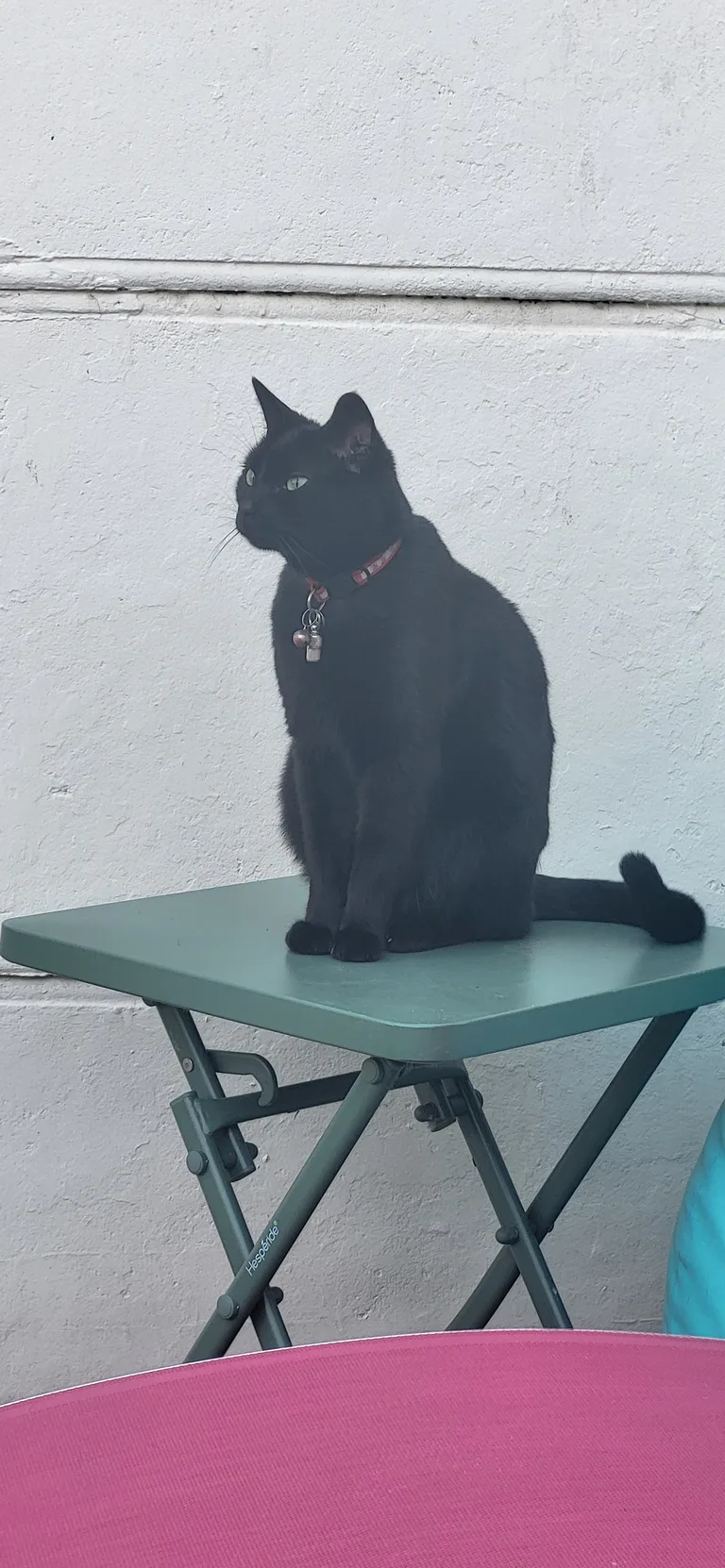 Zaza