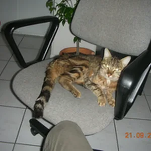 Photo 1
