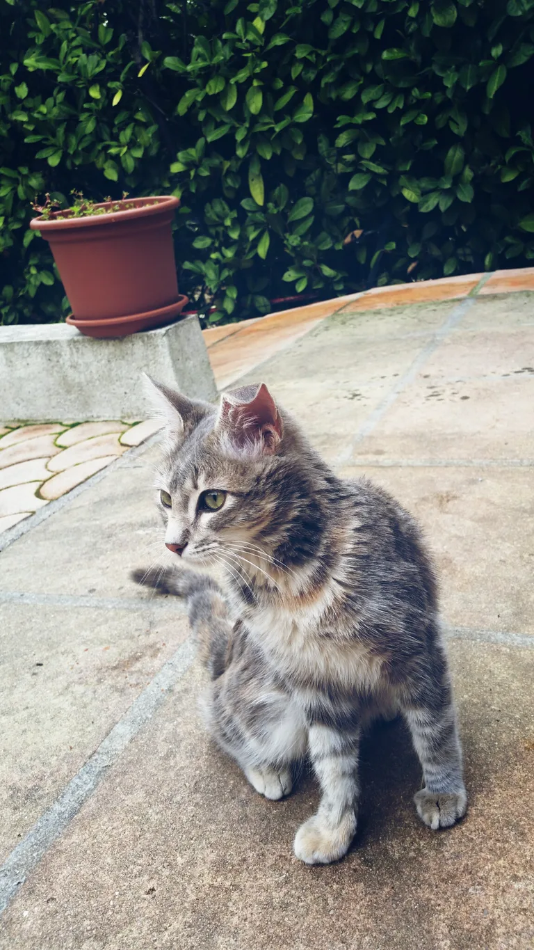 Louise